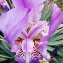 Гульюзум Зайнуллина, 24.07.1980, Стерлитамак