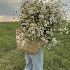 Алия Алиева