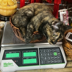 Мария Ефремова, 01.01, Москва