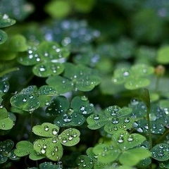 Душа В Теле