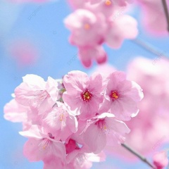 Ирина Надточий, 01.01.1990