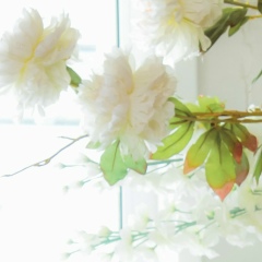 Лина Лайдер, 31.07.1995, Уфа