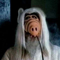 Алексей Кононыхин, Ростов-на-Дону