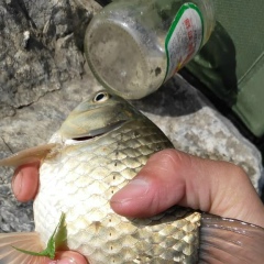 Александр Литвинчук, 20.08.1984, Костанай