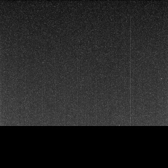 Виктор Егоров