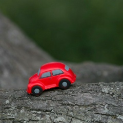 Анна Скрипка, 16.06