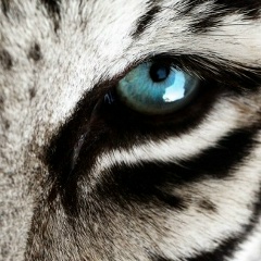 Юрий Баранов, 06.01.1984, Москва