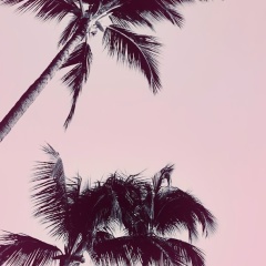 Оксана Пуженкова, 13.06