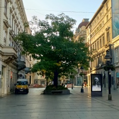 Максатай Маматова, 07.12.1938