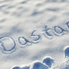 Dastan Malik, 21.01.2001, Туркестан