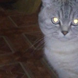 Валера Воробьёв, 28.09.1988, Киев