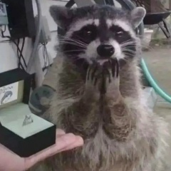 Сабина Пржанова, 12.01.1998, Тараз