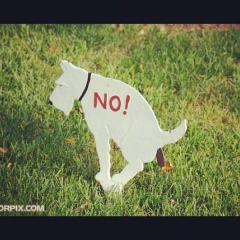 Сергей Мехедов, 17.07, Санкт-Петербург