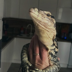 Алексей Викторов