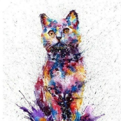 Таня Иванова, Москва