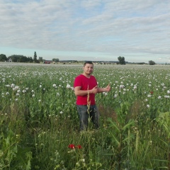 Максат Темирханов, 17.12.1901