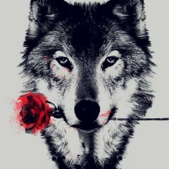 Максим Петров, 27.06