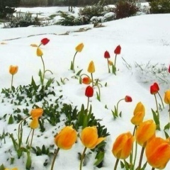 Anara Kazanbaeva, 21.06.1987, Алматы