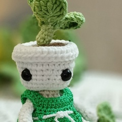 Марина Шулакова, Санкт-Петербург