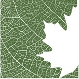 Фарух Алиев, 26.08.1970, Алматы