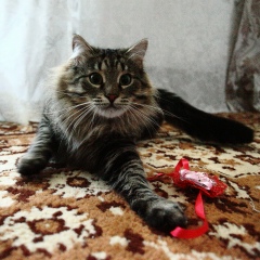 Денис Погорелый, 28.02, Челябинск