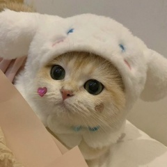 Даур Турдахов, 27.09, Алматы