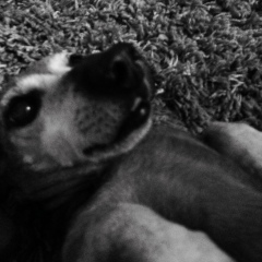 Диана Крамаренко, 06.12.2000, Москва