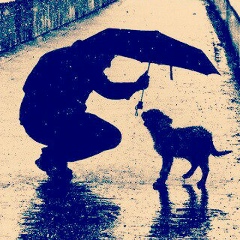 Батыр Самадов, 17.07, Бекабад