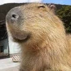 Тамерлан Хасанов, Уфа