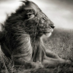 Павел Лавров, 14.11