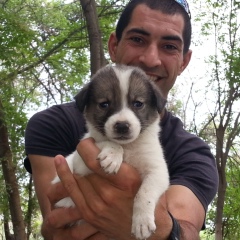Roman Agabalaev, 16.06.1987, Баку