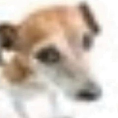 Кирилл Павучкин, 02.02, Дно