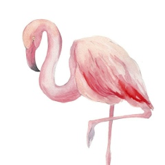 Виктория Личук