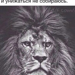 Эльдар Эльдаров, 10.04, Грозный