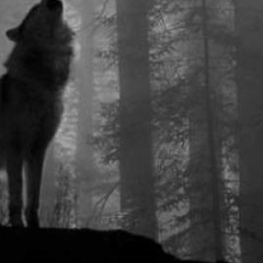 Даниил Щербаков, 29.12.1988, Харьков