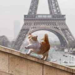 Medet Ahmetzhanov, 08.08.1992, Шымкент