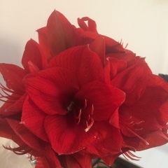 Асель Багарова, 21.03, Астана