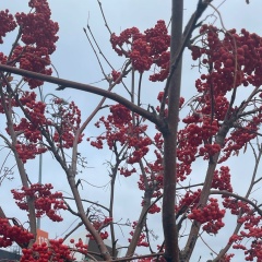 Ольга Чевычелова, 16.02.1986, Москва