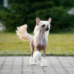 Мария Васильева, 28.06, Москва