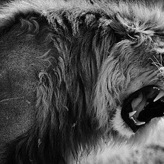 Magomed Ingush, 10.02.1989, Караганда