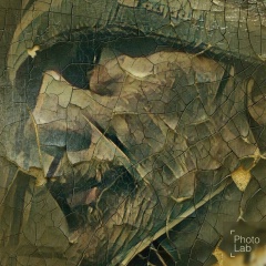 Денис Корельский, 07.01, Архангельск