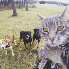 Максим Ли, 20.03, Алматы