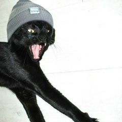 Юлия Володькина, 15.11, Донецк