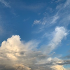 Asya Gubaydullina, 05.07.1991, Таллин