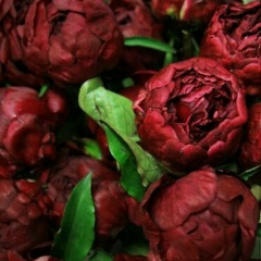 Nazik Imankanova, 23.02, Бишкек