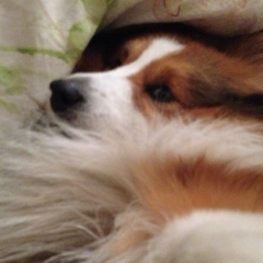 Ксения Любимая, 28.05, Москва