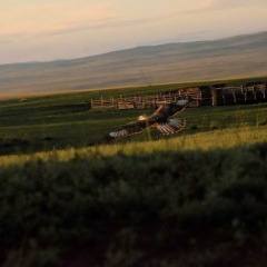 Мунзук Кан-Демир, 15.09, Кызыл