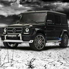 Sayan Baibolov, 18.06.1990, Алматы