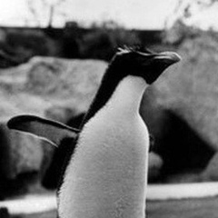 Лена Дейнека, 10.04.1990, Владимир-Волынский