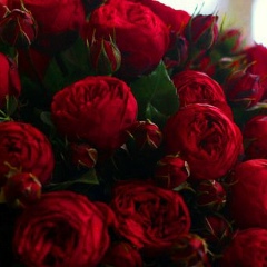 Татьяна Божескова, 06.09.1991, Санкт-Петербург